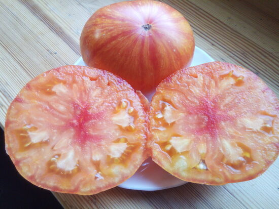 Гигант Дель Ре